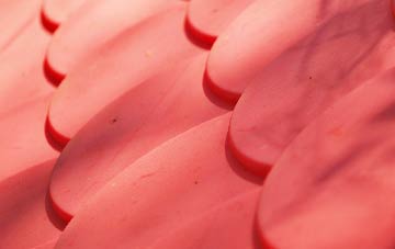 Castlewellan plastic roof costs